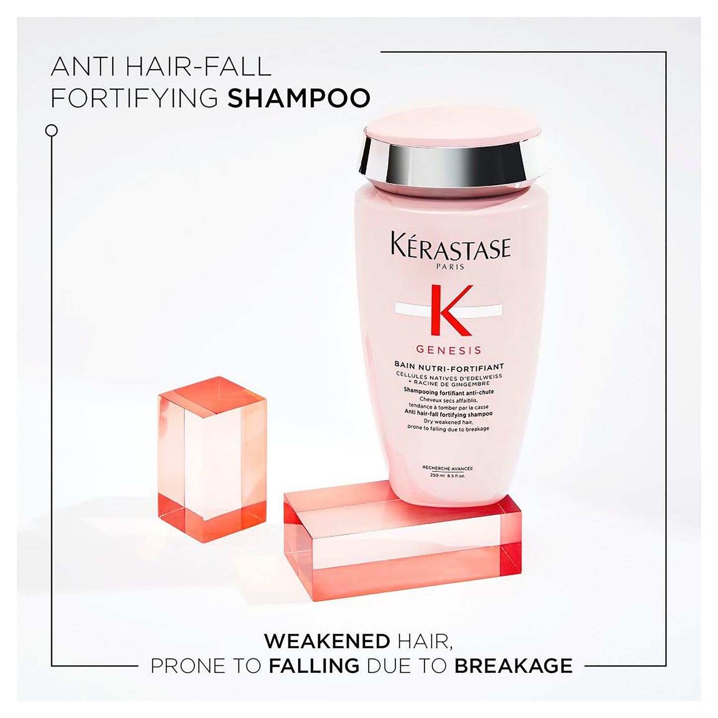 A bottle of Kérastase Genesis Bain Nutri-Fortifiant 250ml shampoo sits amid sleek red-tinted glass blocks. The display emphasizes its role as an "anti hair-fall fortifying shampoo," ideal for weakened hair susceptible to breakage.